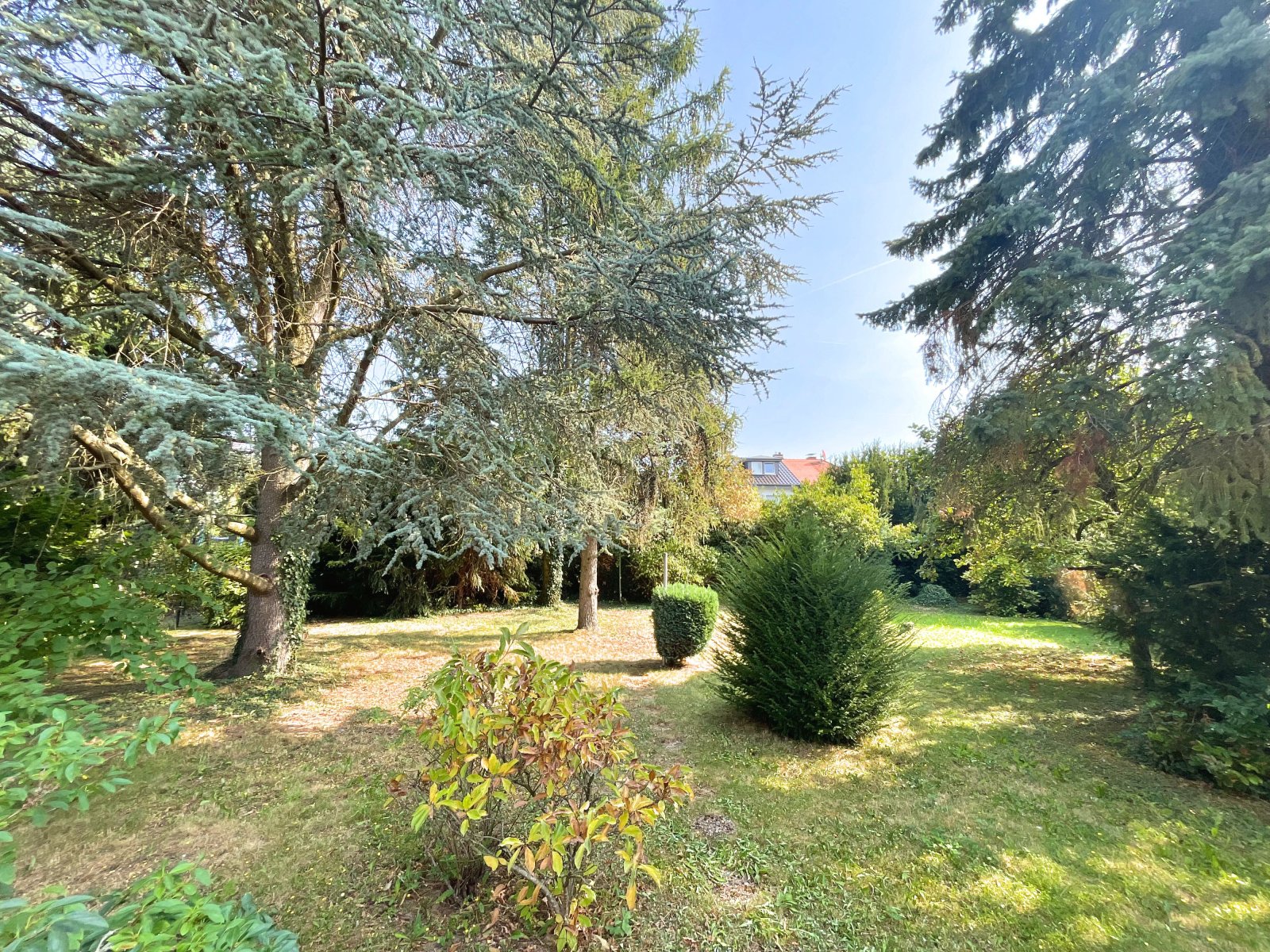 Blumenauer-(c) - Garten Blumenauer-(c) - Garten