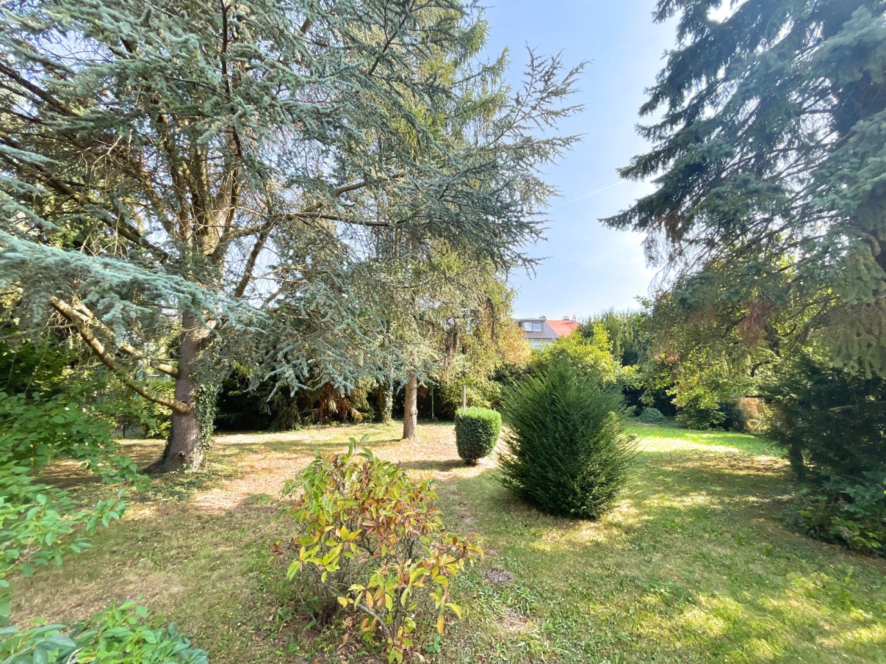 Blumenauer-(c) - Garten Blumenauer-(c) - Garten
