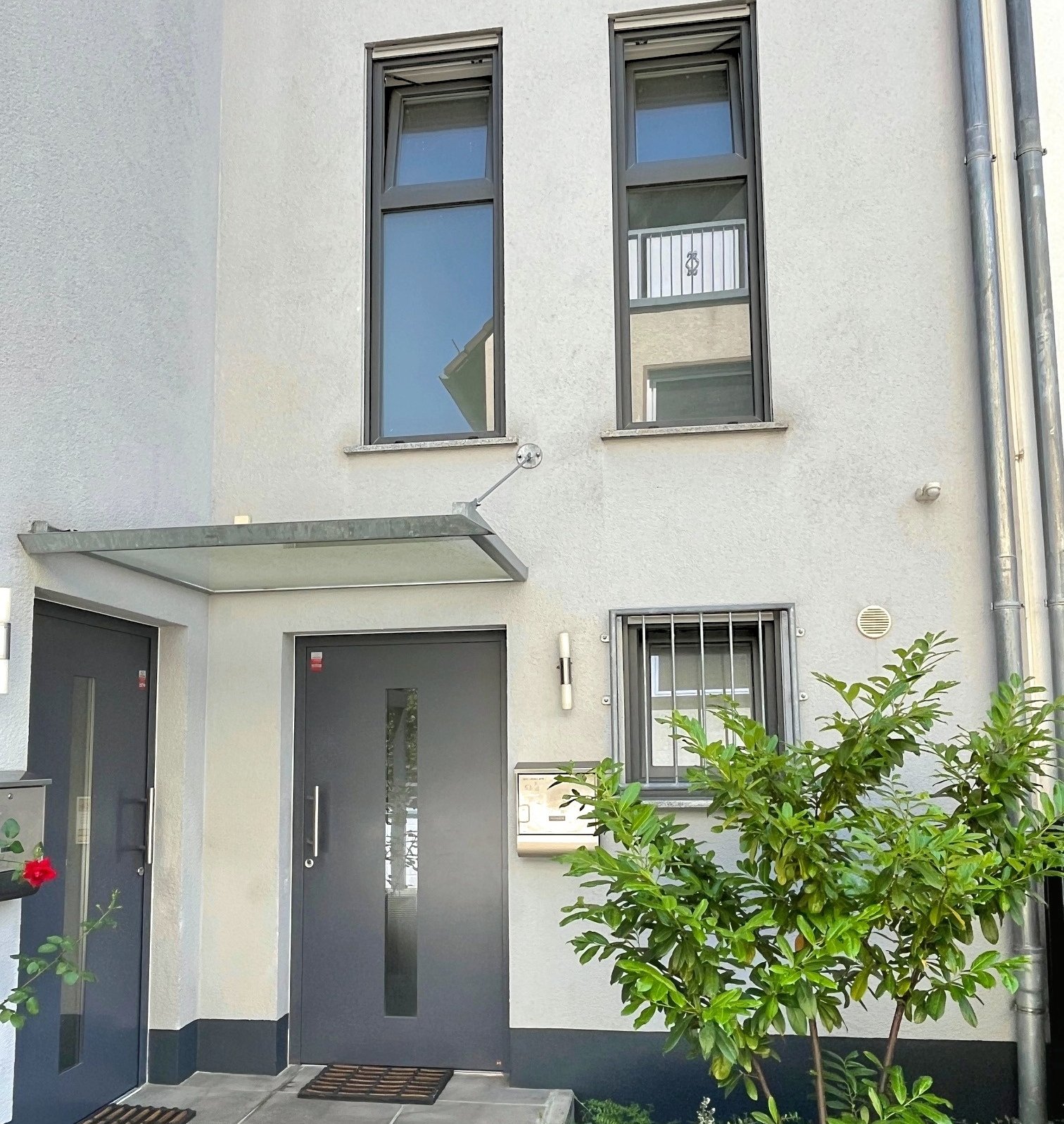 Blumenauer (c) - Titel Blumenauer (c) - Titel