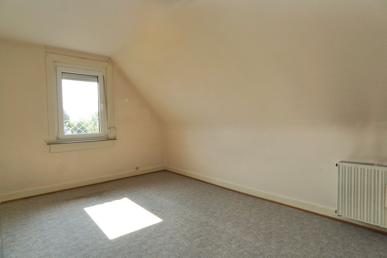 Blumenauer(c)- Original