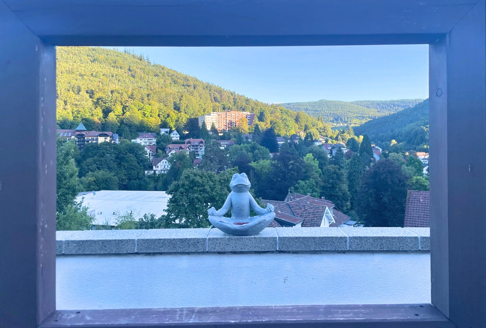 Blumenauer (c) - Weitsicht